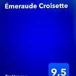 Emeraude Croisette 公寓 *